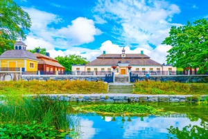 Visite du musée Vasa et du Skansen de Stockholm avec billet rapide