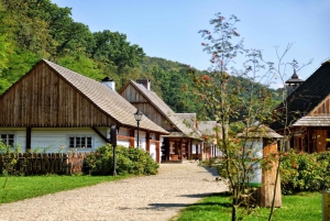 Visite du musée Vasa et du Skansen de Stockholm avec billet rapide