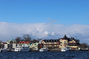 Vaxholm & de archipel van Stockholm: begeleide excursie, dagtrip
