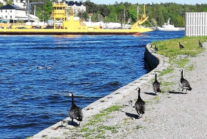 Vaxholm & de archipel van Stockholm: begeleide excursie, dagtrip