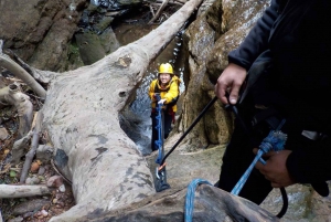 Blue Mountains: Abseiling or Canyoning Experience