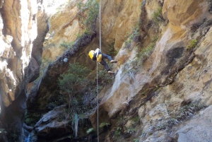 Blue Mountains: Abseiling or Canyoning Experience