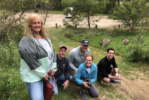 #1 Tour por las Montañas Azules, Scenic World, cascadas y parque natural