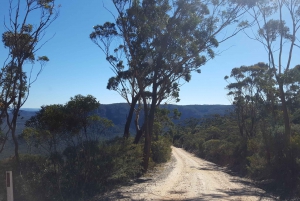 Голубые горы: поездка на горном электронном велосипеде, узкое плато