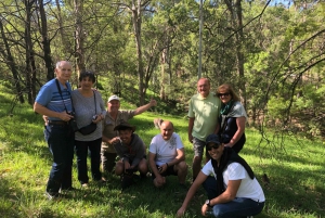 Blue Mountains: Scenic World, Waterfalls, and Wildlife Park