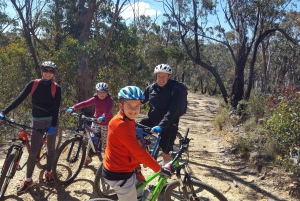 From Blue Mountains: Mountain e-Bike Ride, Hanging Rock