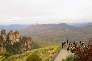 Desde Sidney Excursión de un día a las Montañas Azules