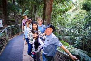 From Sydney: Blue Mountains Full-Day Trip with Cruise