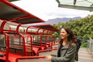 From Sydney: Blue Mountains Full-Day Trip with Cruise
