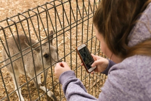 From Sydney: Blue Mountains Full-Day Trip with Cruise