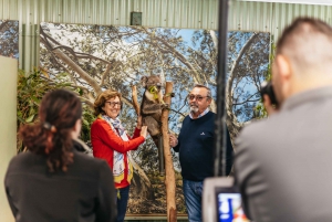 From Sydney: Blue Mountains Full-Day Trip