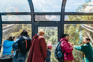 From Sydney: Blue Mountains Full-Day Trip