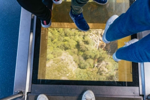 From Sydney: Blue Mountains Full-Day Trip