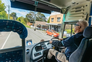 From Sydney: Blue Mountains Full-Day Trip