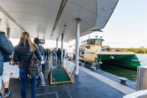 From Sydney: Blue Mountains Full-Day Trip