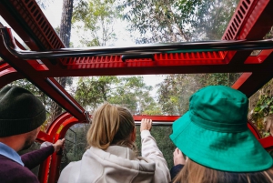 From Sydney: Blue Mountains Guide Tour, Scenic World & Lunch