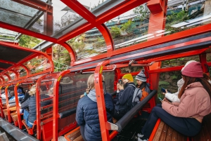 From Sydney: Blue Mountains Guide Tour, Scenic World & Lunch