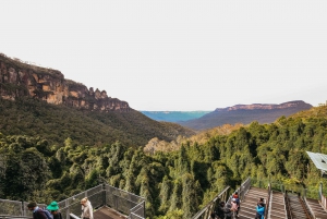 From Sydney: Blue Mountains Guide Tour, Scenic World & Lunch
