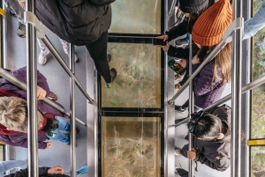 From Sydney: Blue Mountains Guide Tour, Scenic World & Lunch