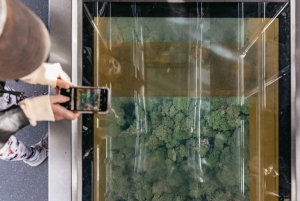 From Sydney: Blue Mountains Guide Tour, Scenic World & Lunch