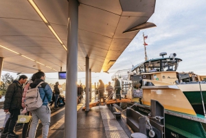 From Sydney: Blue Mountains Guide Tour, Scenic World & Lunch