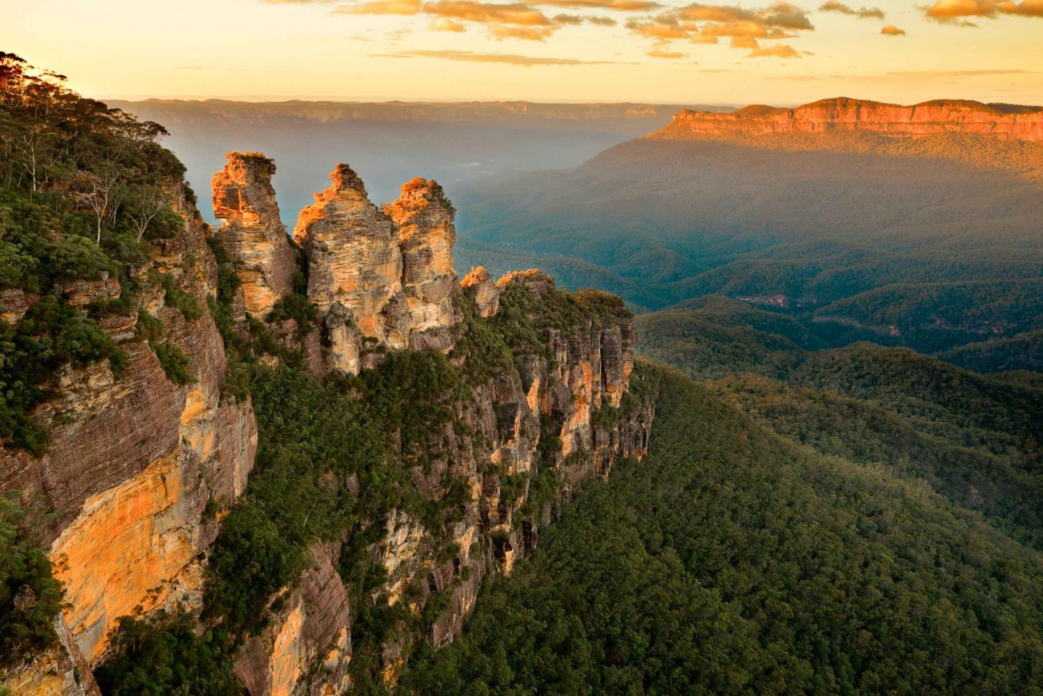 Sydney: Blue Mountains Wildlife & Bushwalk Small-Group Tour