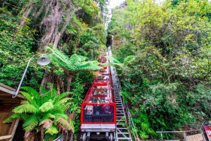 From Sydney: Blue Mountains, Scenic World, Zoo, & Ferry Tour