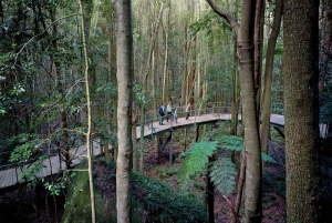 From Sydney: Blue Mountains, Scenic World, Zoo, & Ferry Tour
