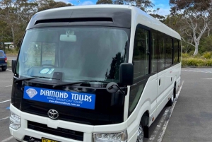 From Sydney: Blue Mountains, Scenic World, Zoo, & Ferry Tour