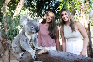From Sydney: Blue Mountains, Scenic World, Zoo, & Ferry Tour