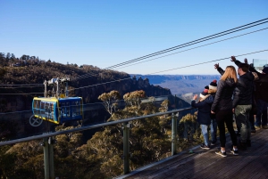 From Sydney: Blue Mountains, Scenic World, Zoo, & Ferry Tour
