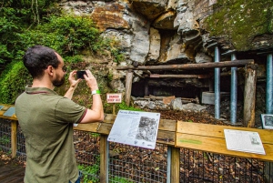 From Sydney: Blue Mountains, Scenic World, Zoo, & Ferry Tour