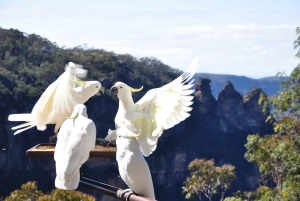 From Sydney: Blue Mountains, Scenic World, Zoo, & Ferry Tour