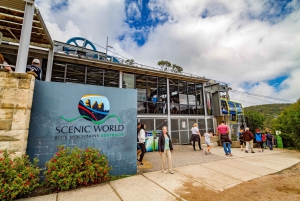From Sydney: Blue Mountains, Scenic World, Zoo, & Ferry Tour