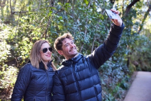 From Sydney: Blue Mountains, Scenic World, Zoo, & Ferry Tour