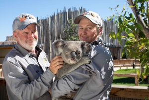 From Sydney: Blue Mountains, Scenic World, Zoo, & Ferry Tour