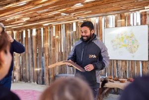 From Sydney: Blue Mountains, Scenic World, Zoo, & Ferry Tour