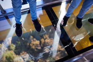 From Sydney: Blue Mountains, Scenic World, Zoo, & Ferry Tour