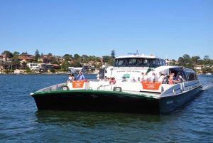 From Sydney: Blue Mountains, Scenic World, Zoo, & Ferry Tour