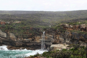 From Sydney: Private Day Trip to Royal National Park