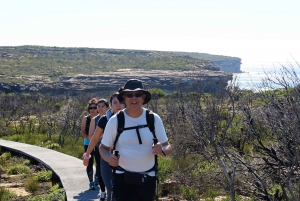 From Sydney: Private Day Trip to Royal National Park