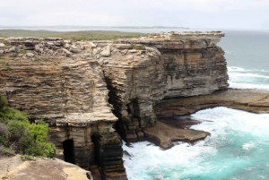 From Sydney: Private Day Trip to Royal National Park