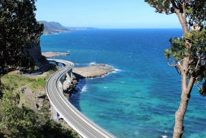 From Sydney: Private Day Trip to Royal National Park