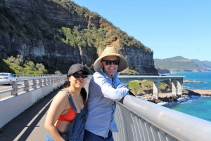 From Sydney: Private Day Trip to Royal National Park