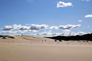 From Sydney: Private Day Trip to Royal National Park