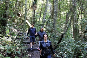 From Sydney: Private Day Trip to Royal National Park