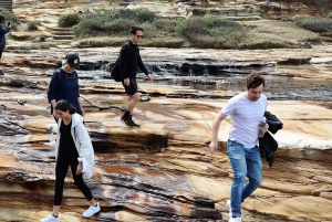 From Sydney: Private Day Trip to Royal National Park