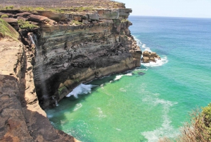 From Sydney: Private Day Trip to Royal National Park