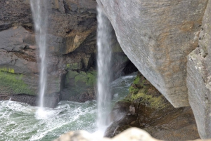 From Sydney: Private Day Trip to Royal National Park