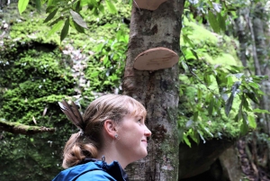 From Sydney: Private Day Trip to Royal National Park